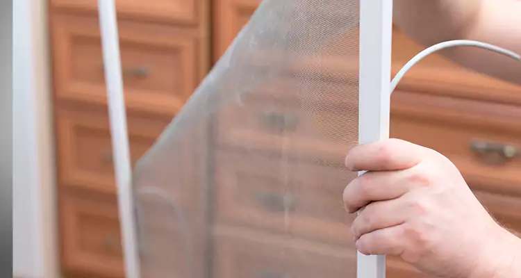 Privacy Mesh Screen Door Installation in Opa-locka, FL