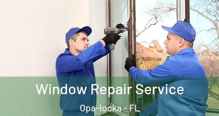  Window Repair Service Opa-locka - FL